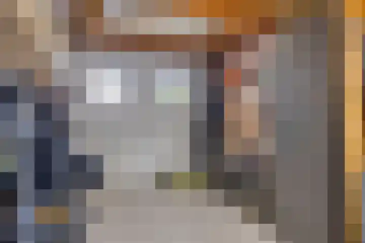 Havik 14 Veldhoven thumbnail 31