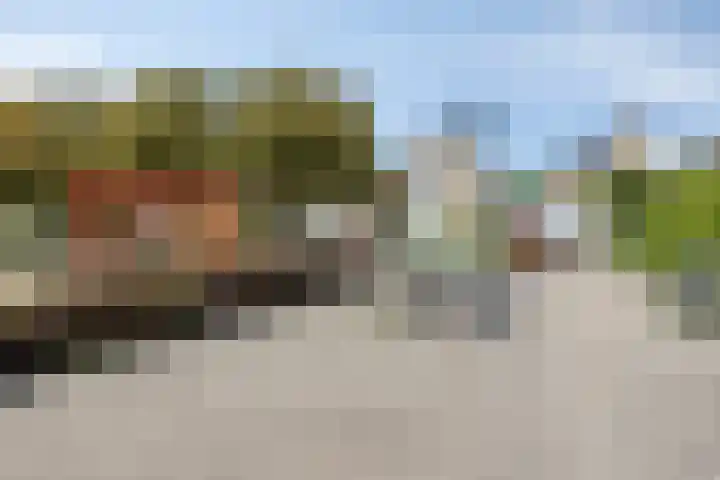 Havik 14 Veldhoven thumbnail 35