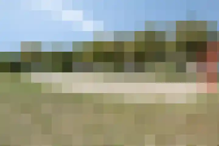 Havik 14 Veldhoven thumbnail 36