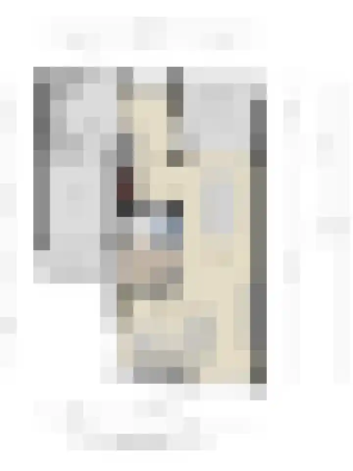 Havik 14 Veldhoven thumbnail 37