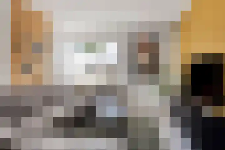 Havik 14 Veldhoven thumbnail 4