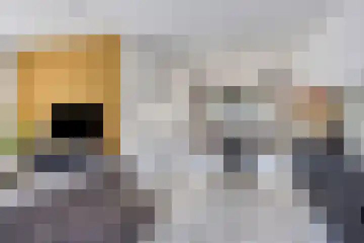 Havik 14 Veldhoven thumbnail 5