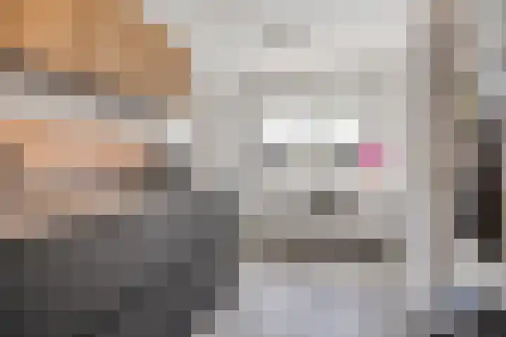 Havik 14 Veldhoven thumbnail 8