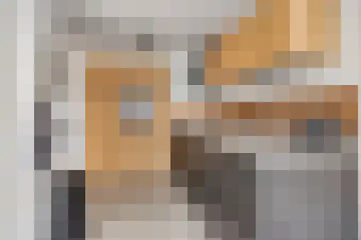 Havik 14 Veldhoven thumbnail 9
