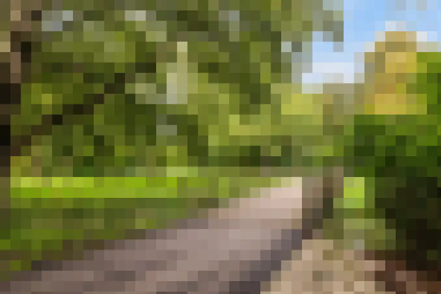 Havik 16 Nieuwegein thumbnail 27