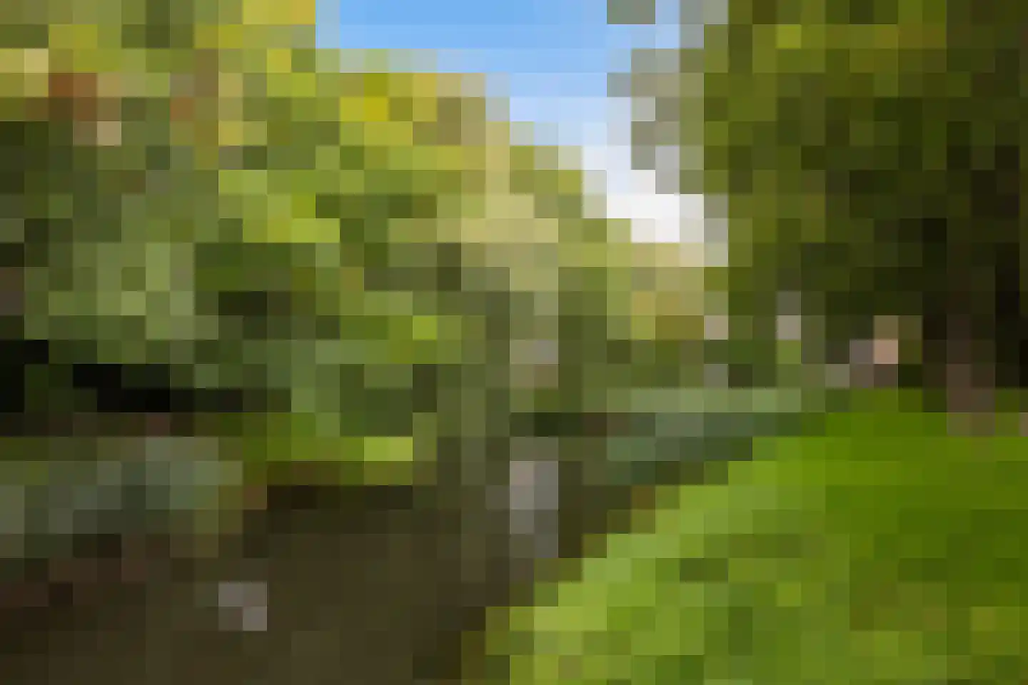Havik 16 Nieuwegein thumbnail 28