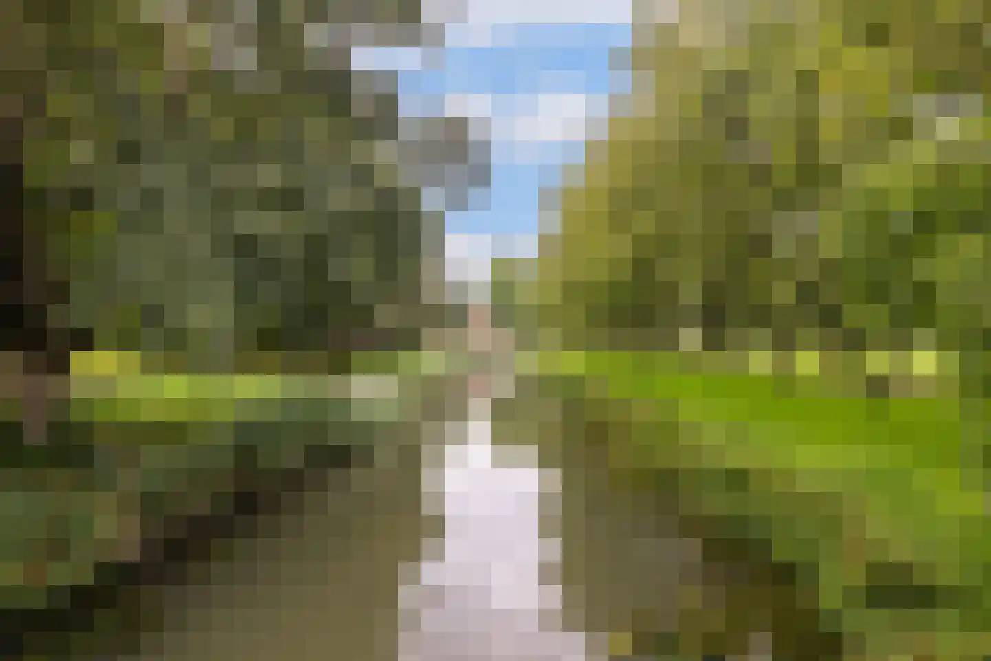 Havik 16 Nieuwegein thumbnail 29