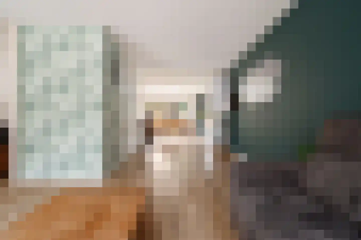 Havik 16 Tollebeek thumbnail 10