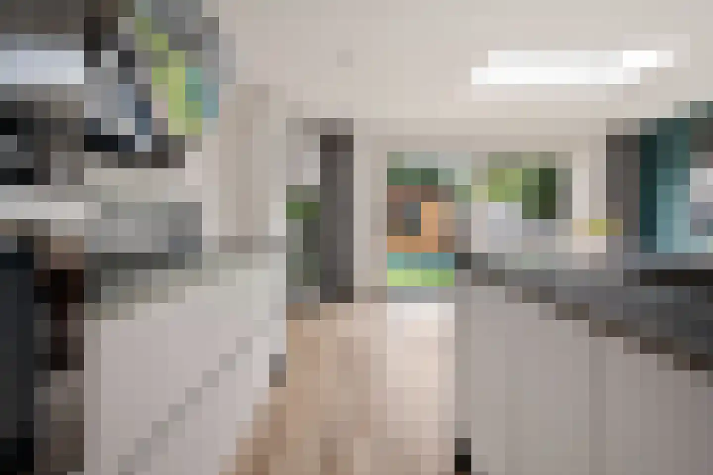 Havik 16 Tollebeek thumbnail 17
