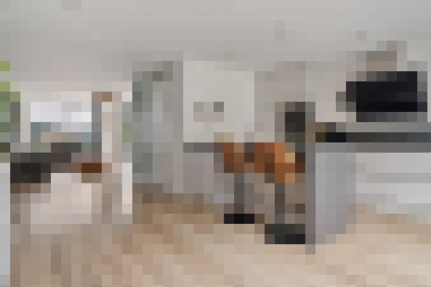 Havik 16 Tollebeek thumbnail 18