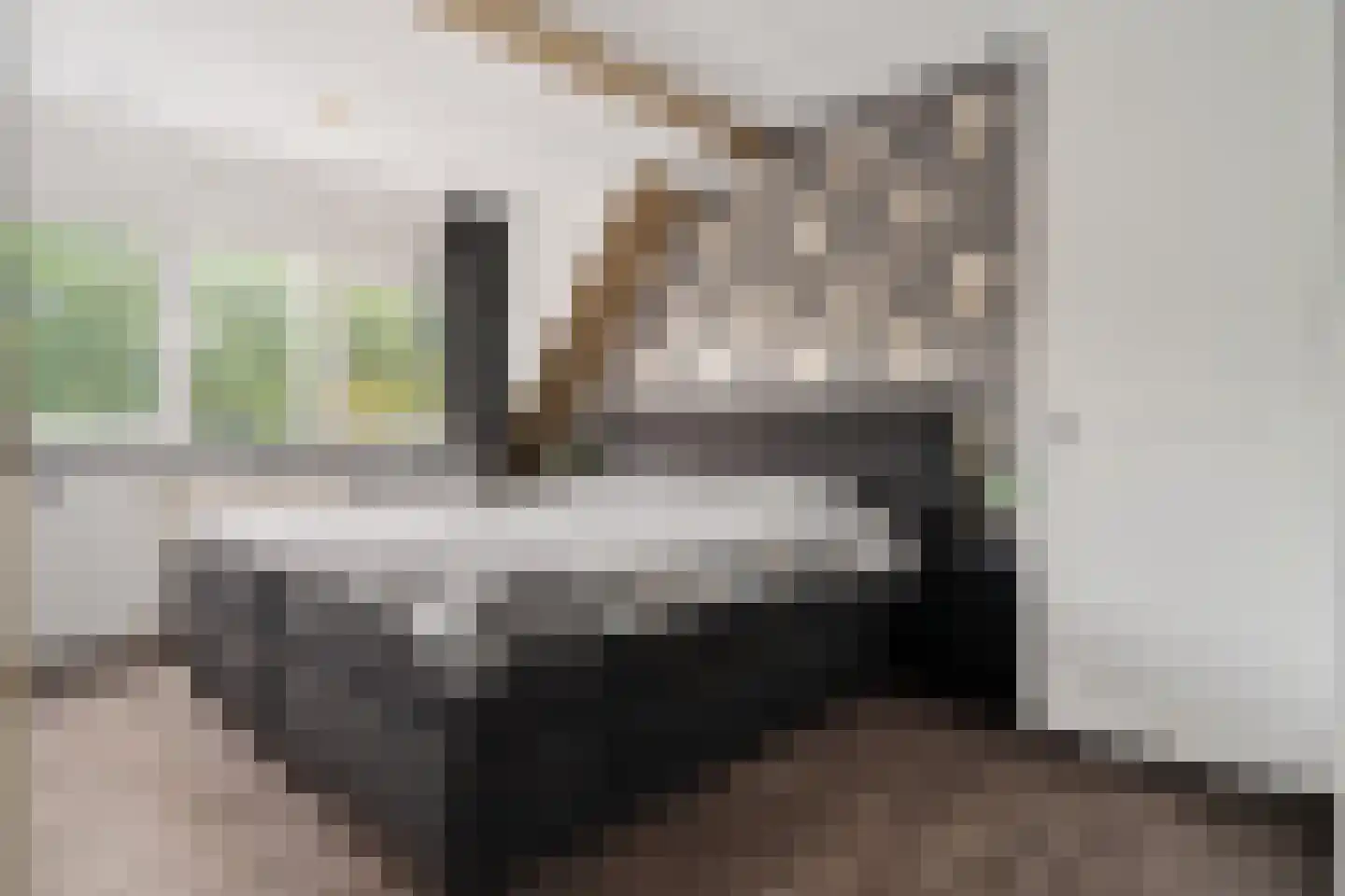 Havik 16 Tollebeek thumbnail 26