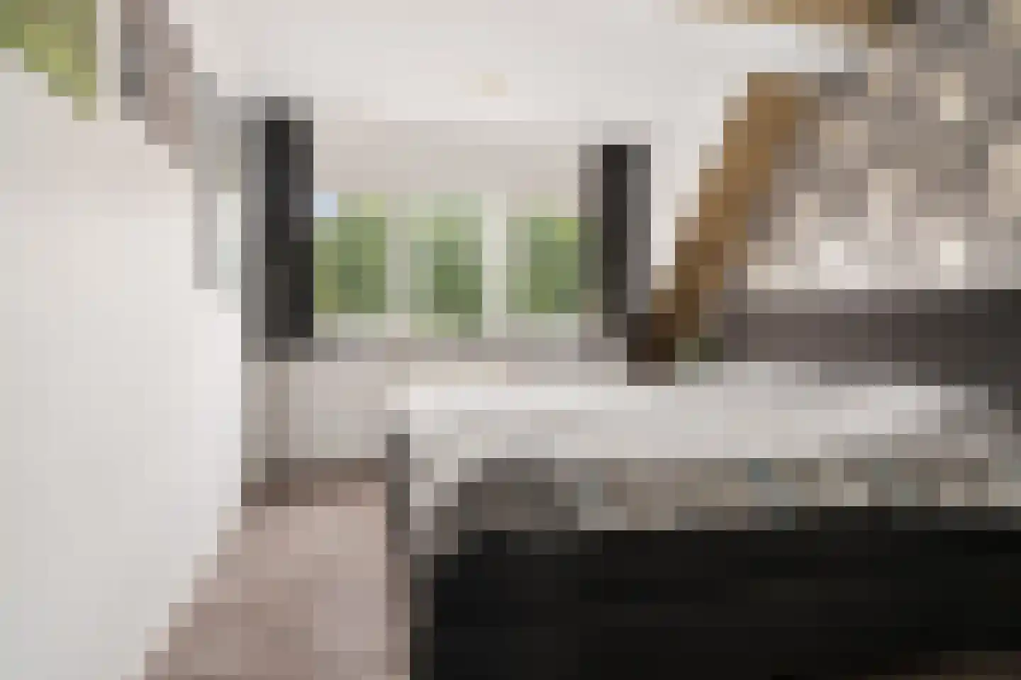 Havik 16 Tollebeek thumbnail 27