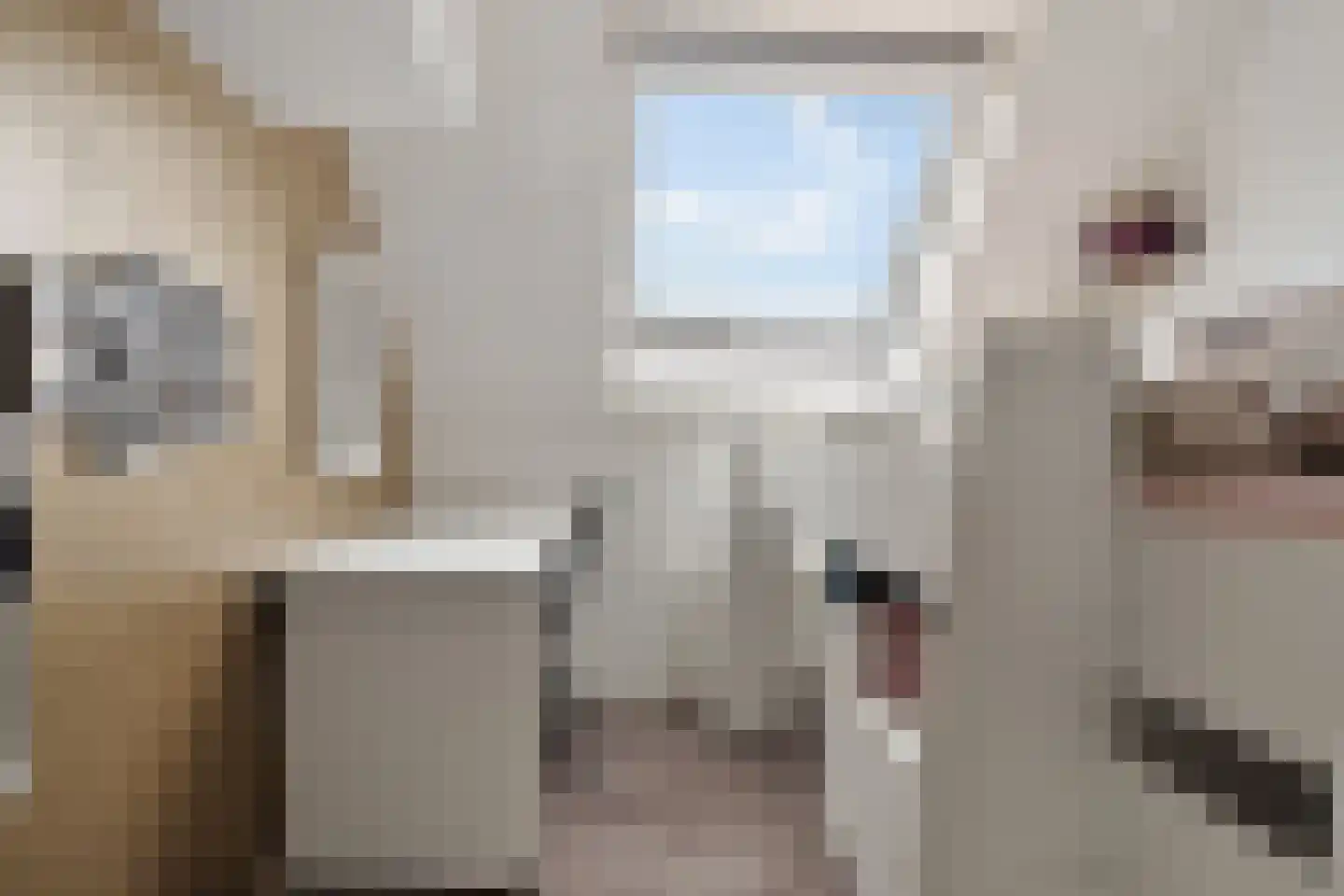 Havik 16 Tollebeek thumbnail 30