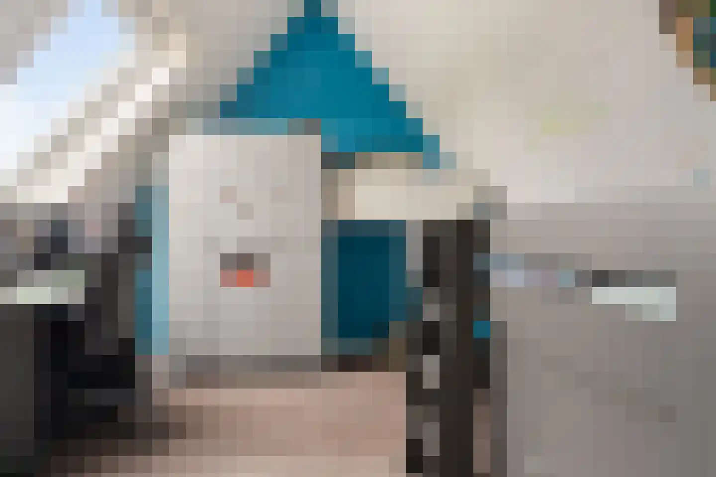 Havik 16 Tollebeek thumbnail 39