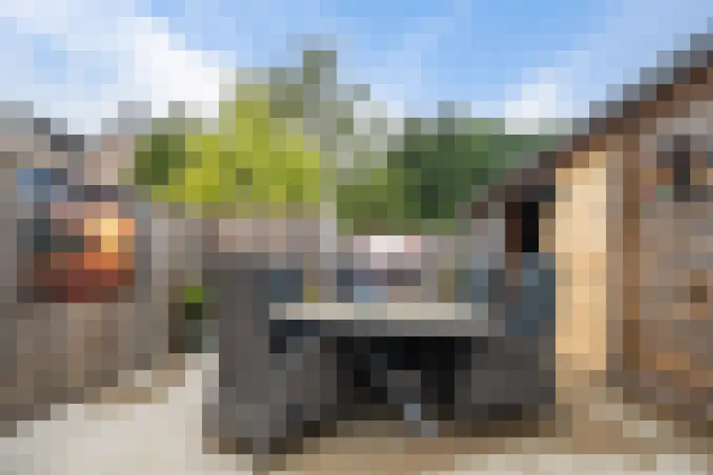 Havik 16 Tollebeek thumbnail 46