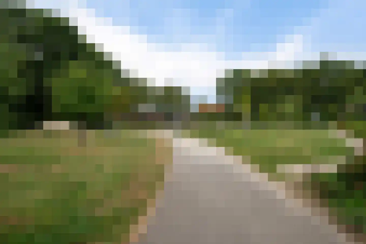 Havik 16 Tollebeek thumbnail 53