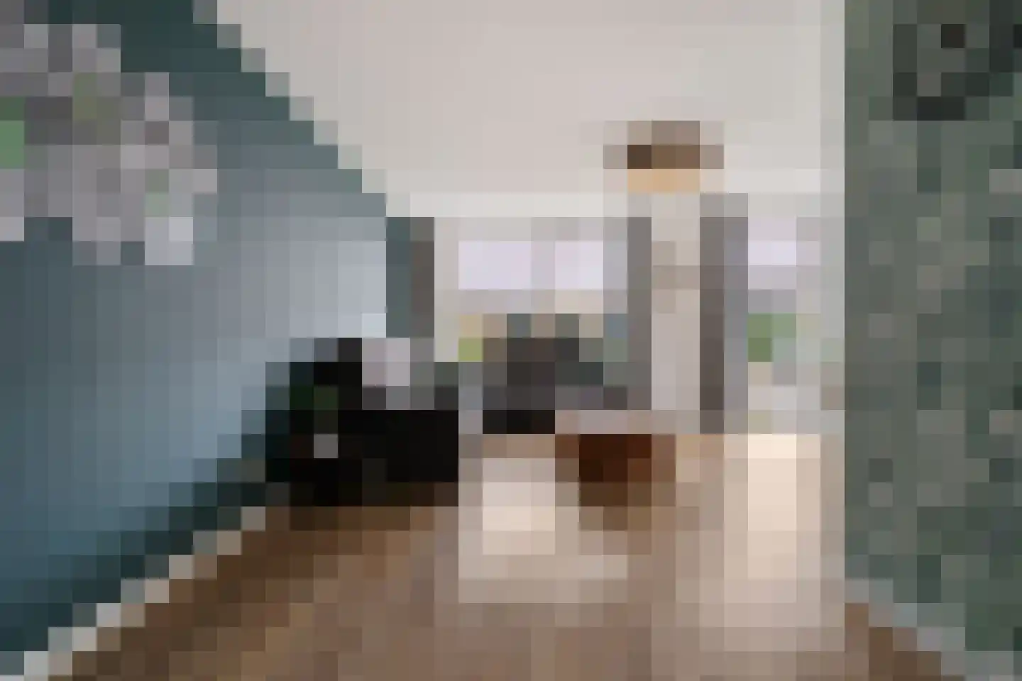Havik 16 Tollebeek thumbnail 6
