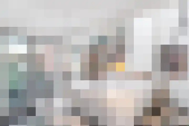 Havik 19 Amersfoort thumbnail 25