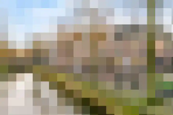 Havik 19 Amersfoort thumbnail 33