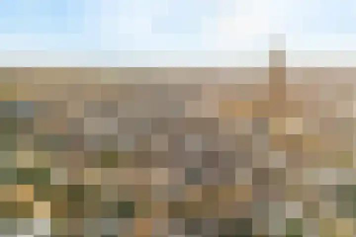 Havik 19 Amersfoort thumbnail 34