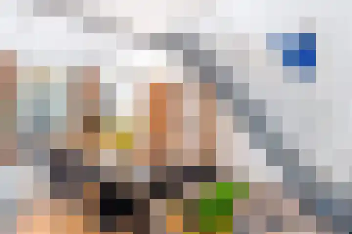 Havik 19 Amersfoort thumbnail 8