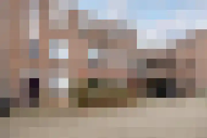 Havik 2 Nieuwegein