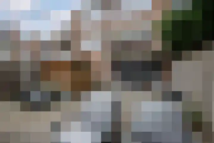 Havik 2 Nieuwegein thumbnail 11