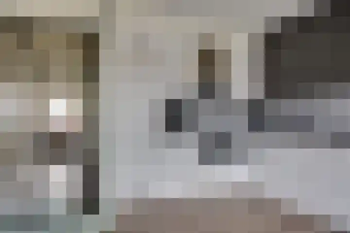 Havik 2 Nieuwegein thumbnail 16