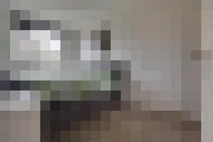 Havik 2 Nieuwegein thumbnail 19