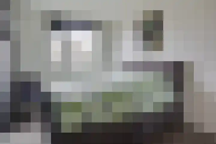 Havik 2 Nieuwegein thumbnail 20