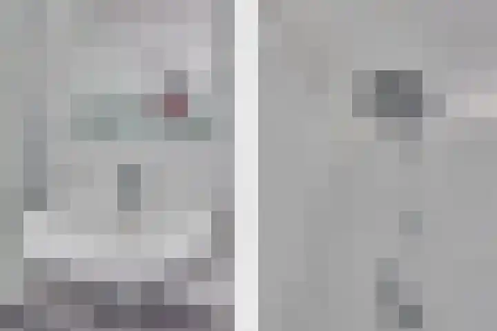 Havik 2 Nieuwegein thumbnail 22