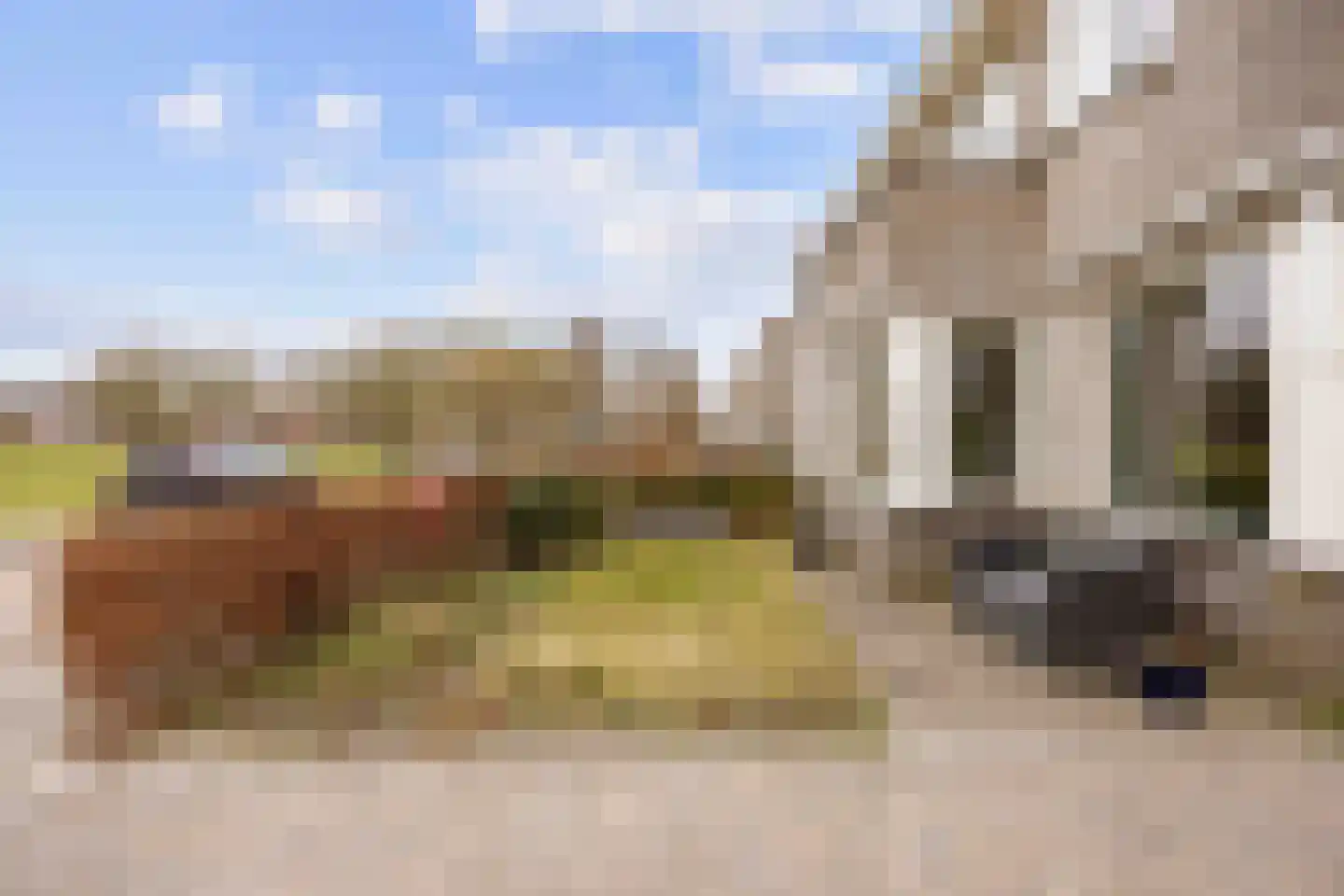 Havik 20 Bedum thumbnail 10