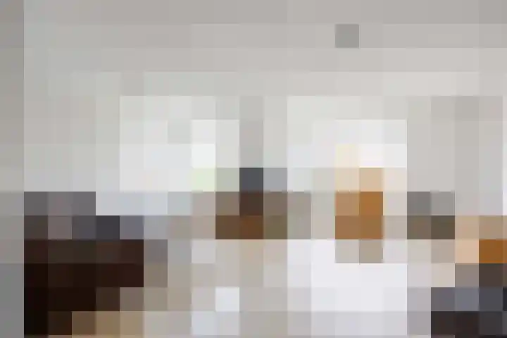 Havik 20 Bedum thumbnail 15