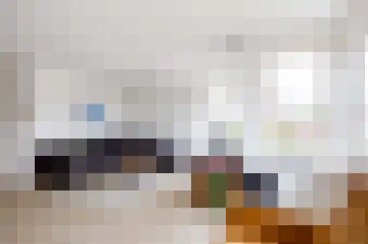 Havik 20 Bedum thumbnail 18