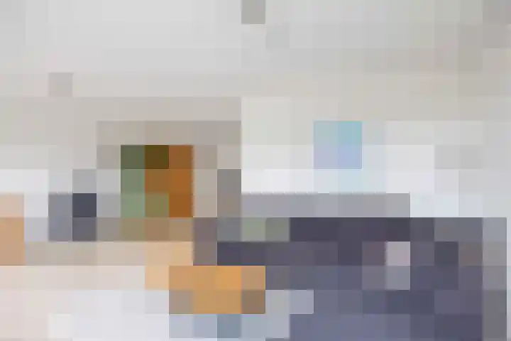 Havik 20 Bedum thumbnail 20