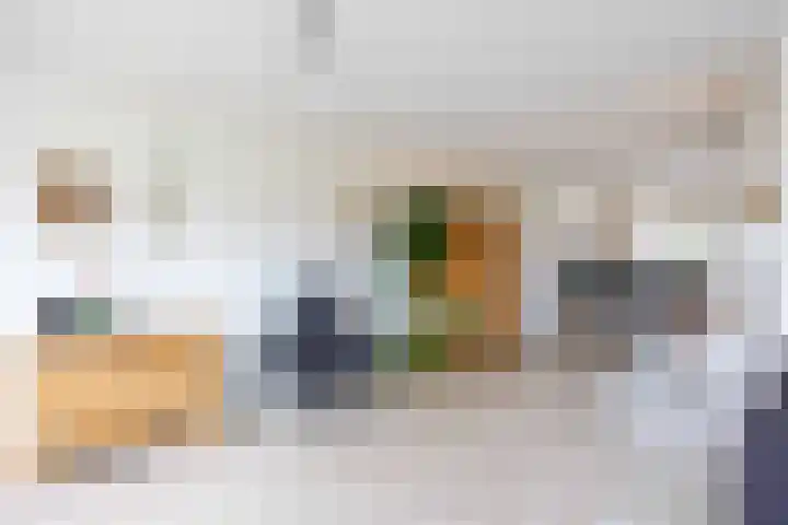Havik 20 Bedum thumbnail 21