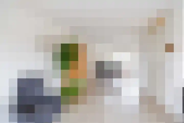 Havik 20 Bedum thumbnail 22