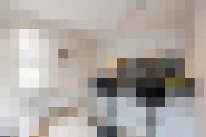 Havik 20 Bedum thumbnail 25