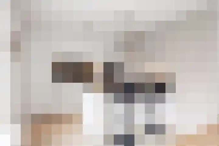 Havik 20 Bedum thumbnail 27