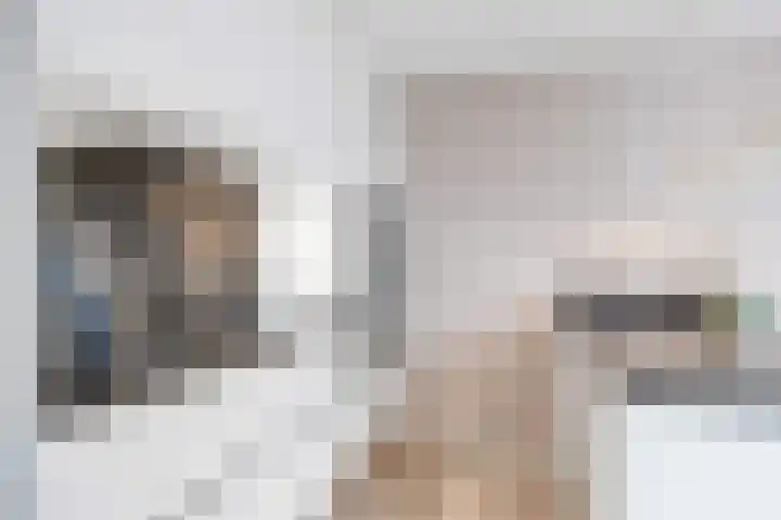 Havik 20 Bedum thumbnail 28