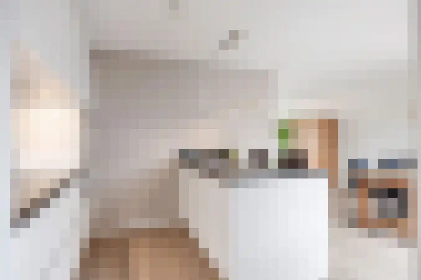 Havik 20 Bedum thumbnail 29