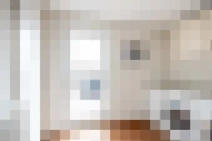 Havik 20 Bedum thumbnail 34