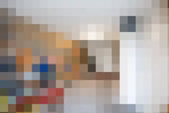 Havik 20 Bedum thumbnail 35