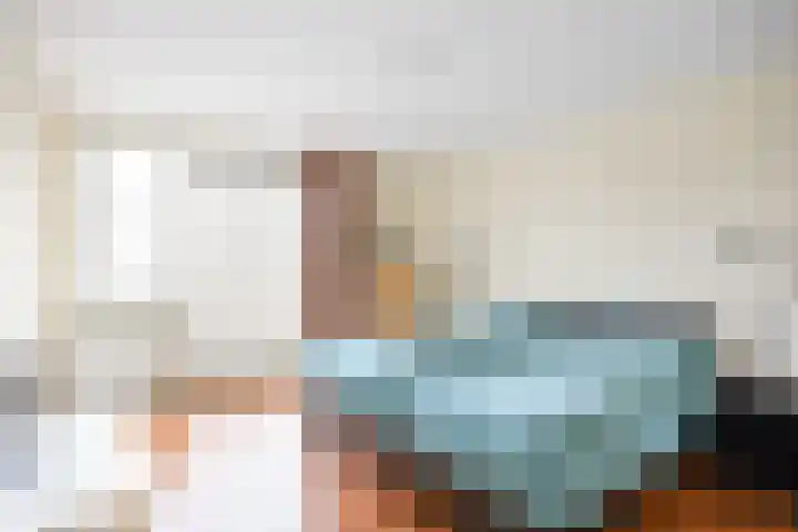 Havik 20 Bedum thumbnail 40