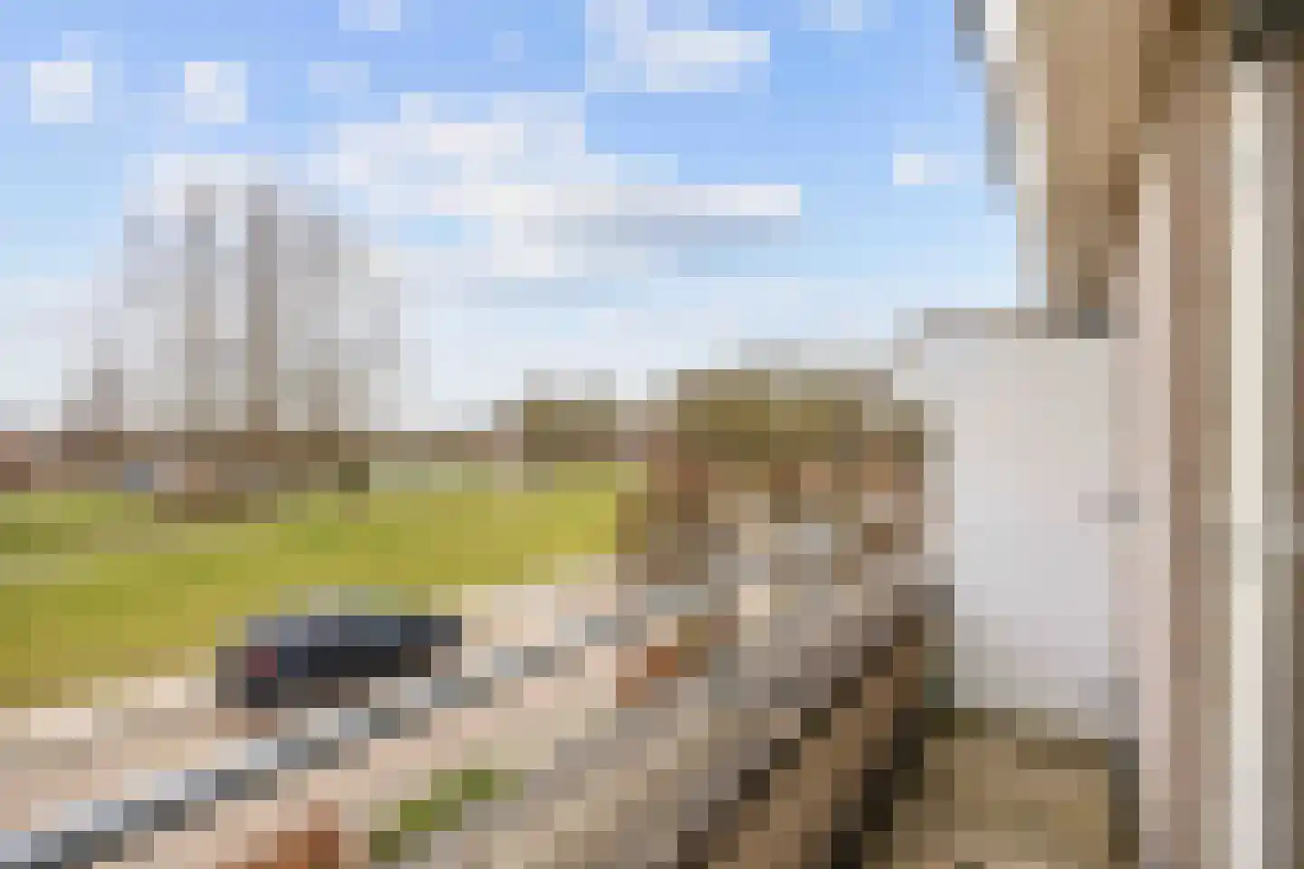 Havik 20 Bedum thumbnail 42
