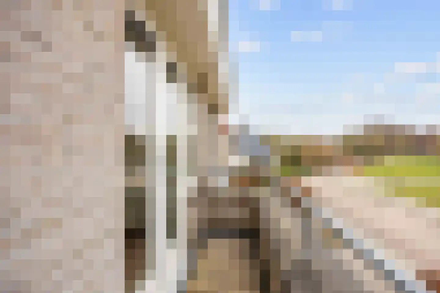 Havik 20 Bedum thumbnail 43