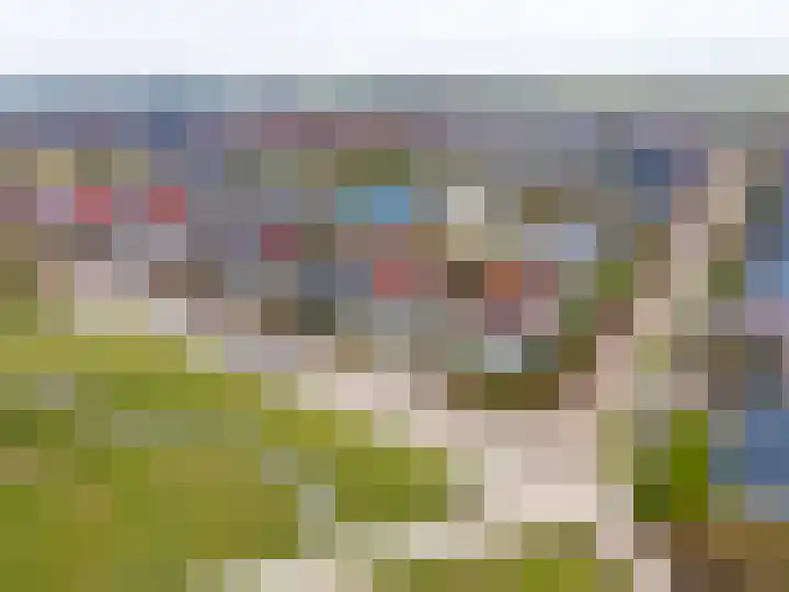 Havik 20 Bedum thumbnail 5