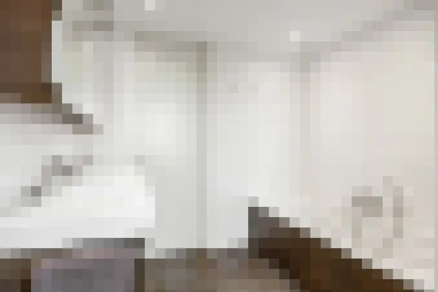 Havik 20 Bedum thumbnail 50