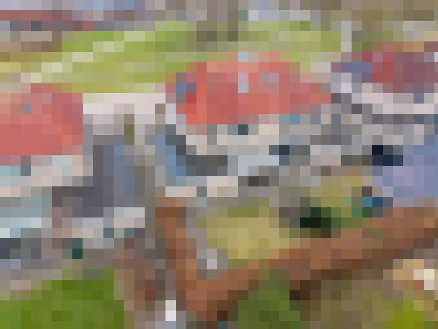Havik 20 Bedum thumbnail 6