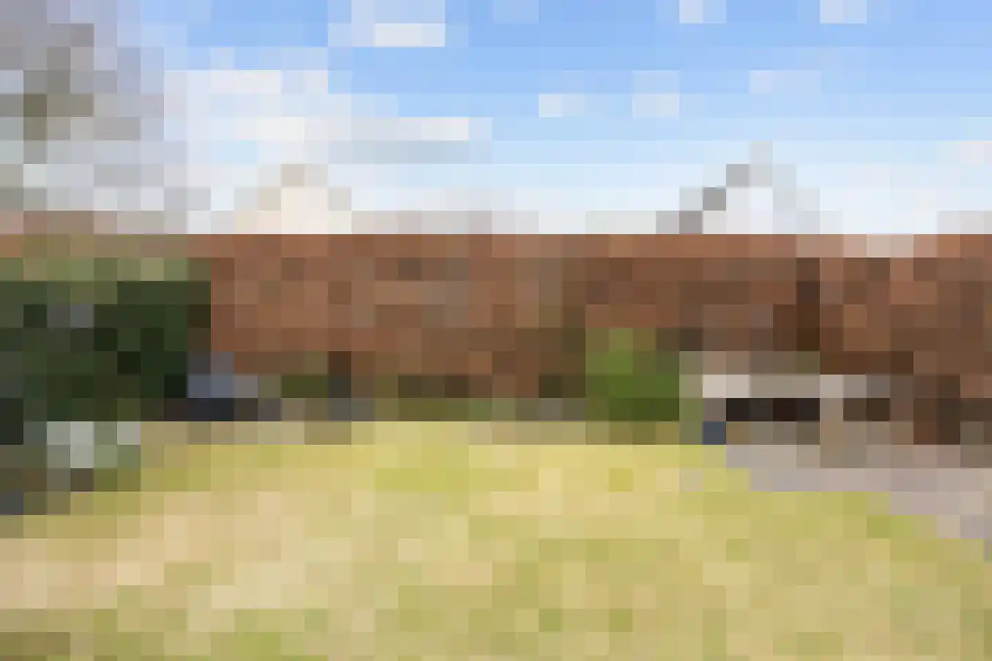 Havik 20 Bedum thumbnail 63